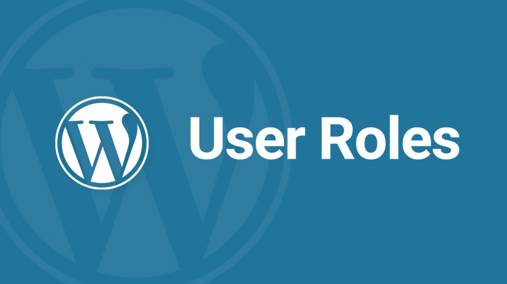 Different User Roles of WordPress and their work